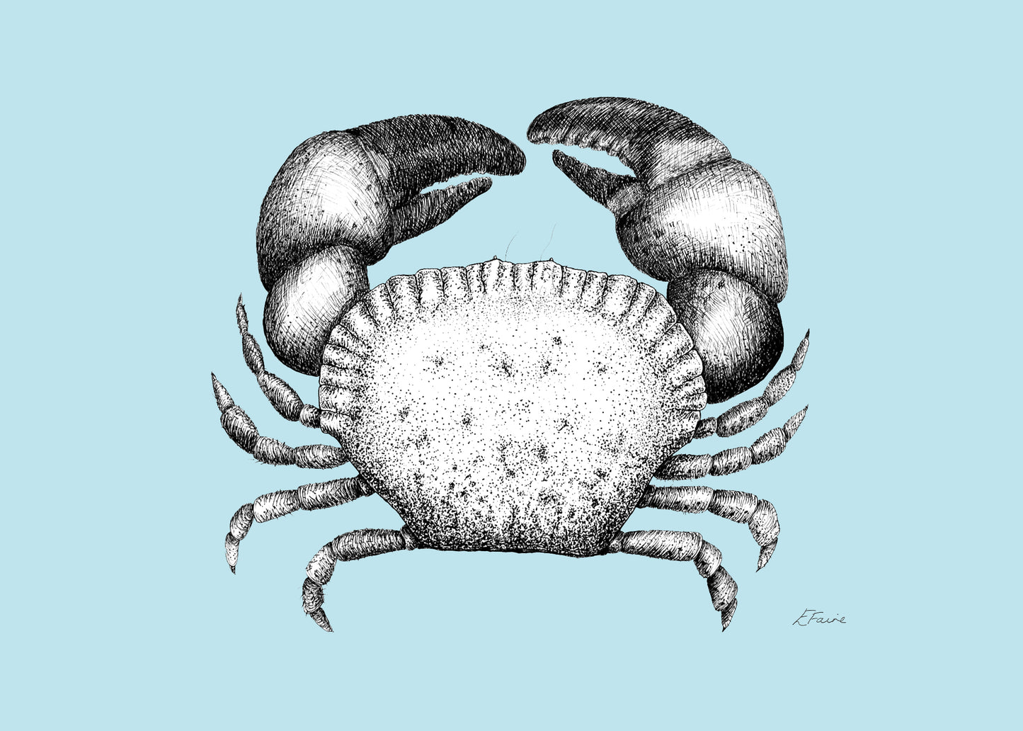 'Kevin' Cromer Crab Postcards - Pastel
