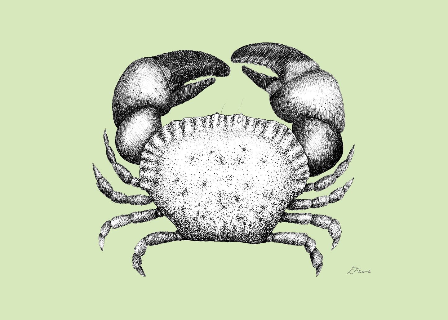 'Kevin' Cromer Crab Postcards - Pastel