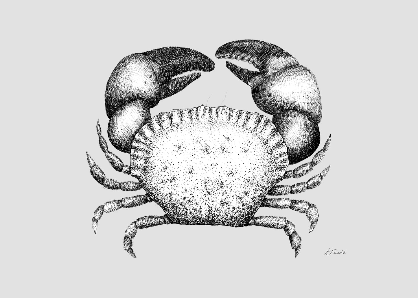 'Kevin' Cromer Crab Postcards - Pastel