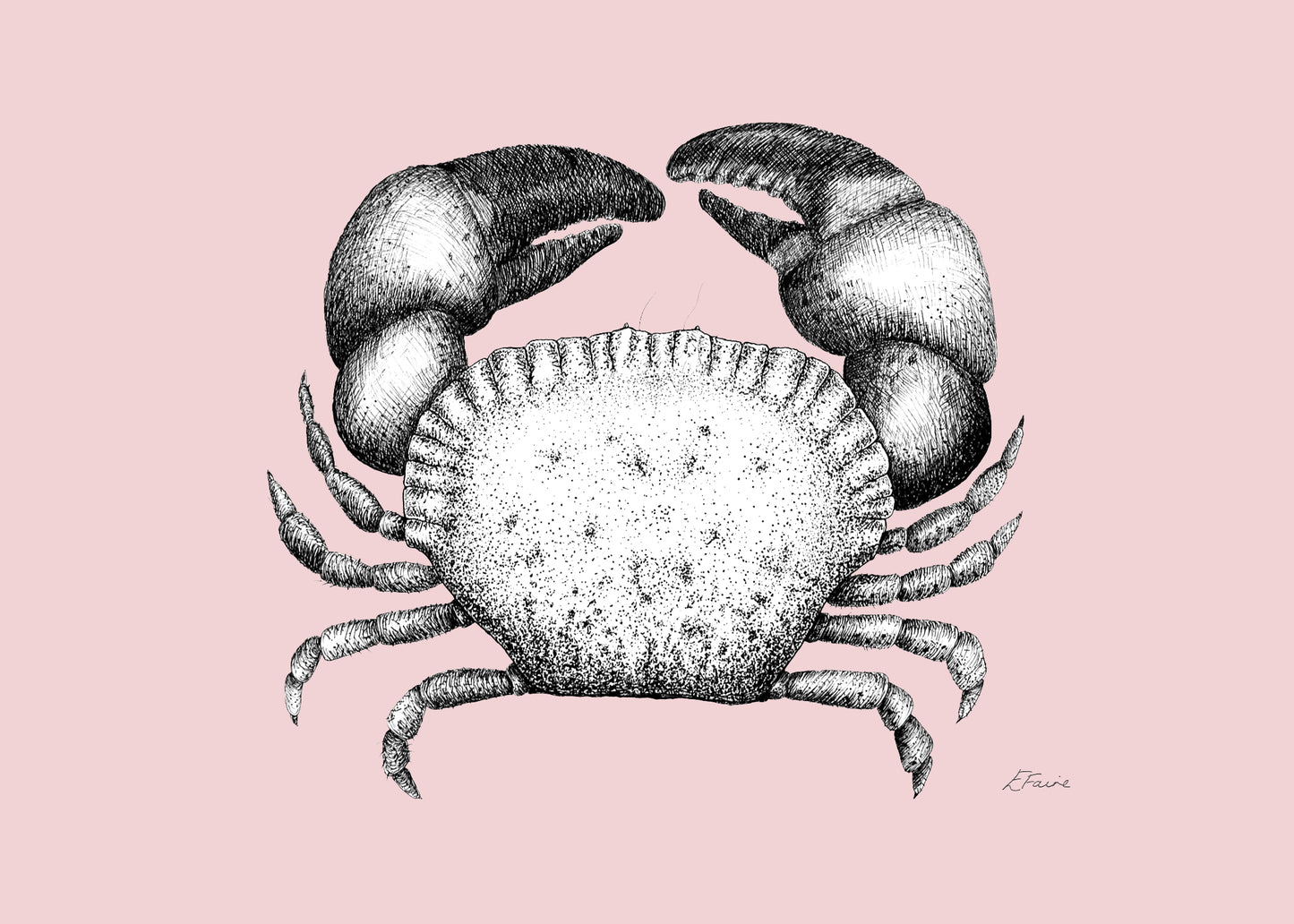 'Kevin' Cromer Crab Postcards - Pastel