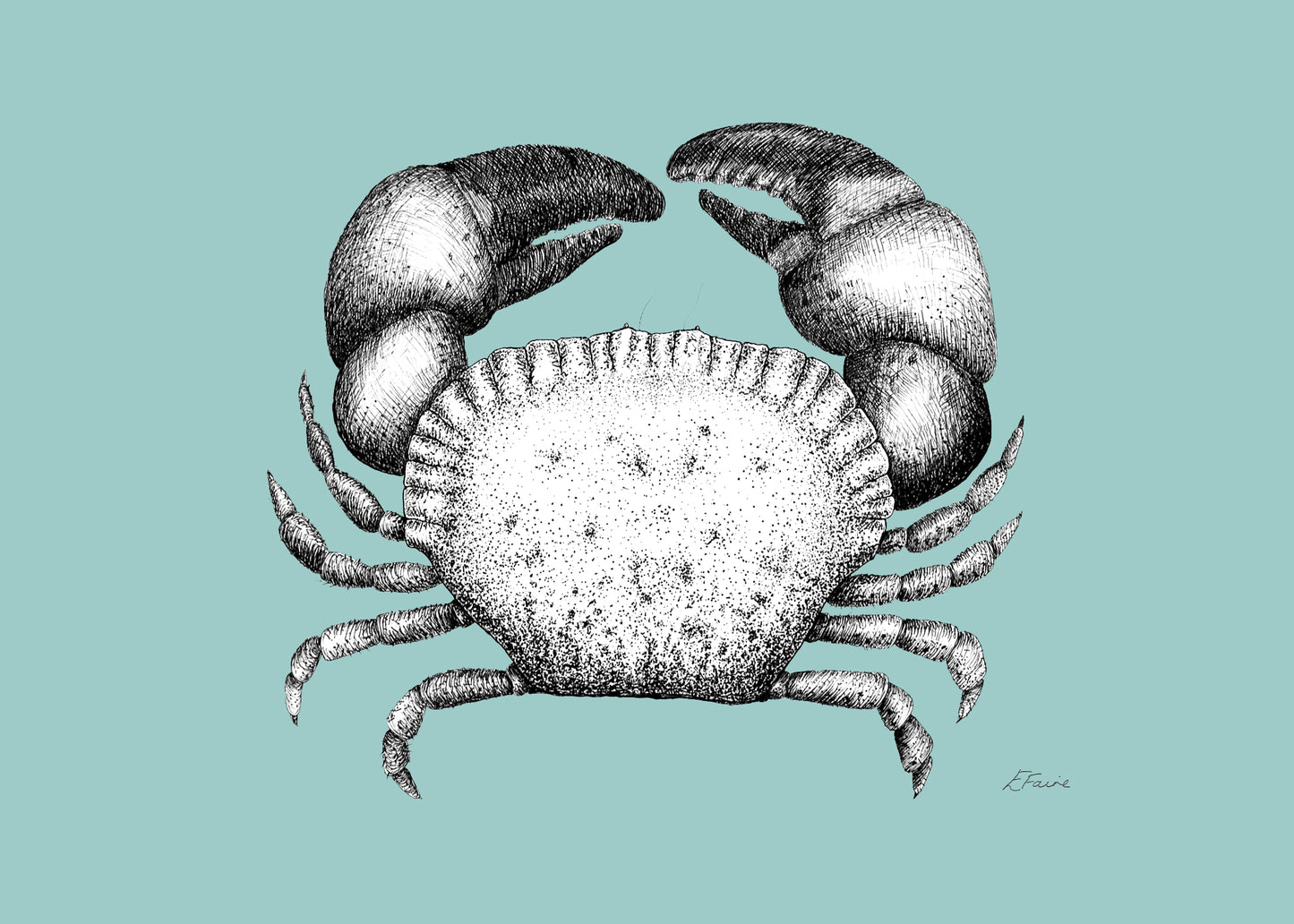 'Kevin' Cromer Crab Postcards - Pastel