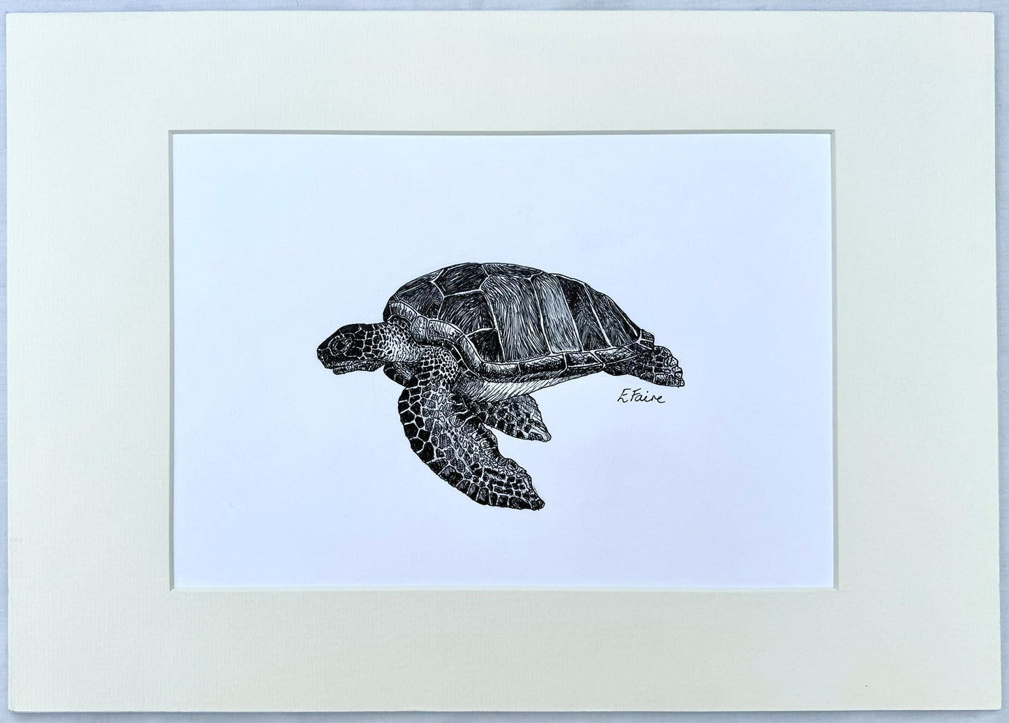 Turtle Original Artwork