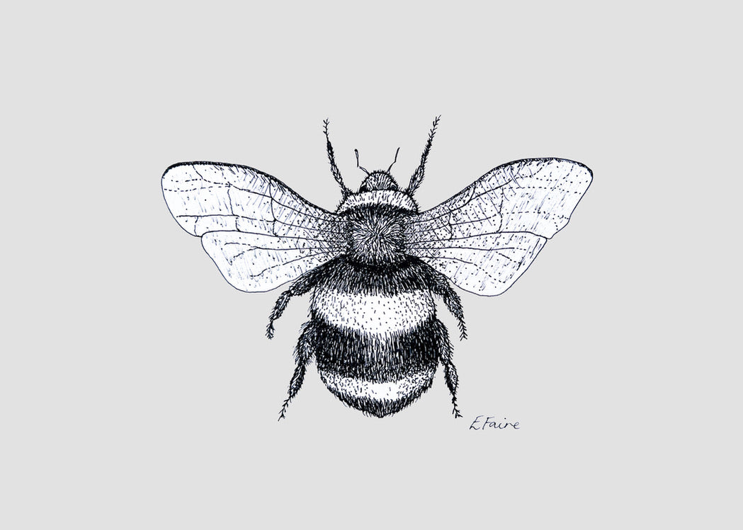 'Belinda' Bumblebee Postcards - Pastel