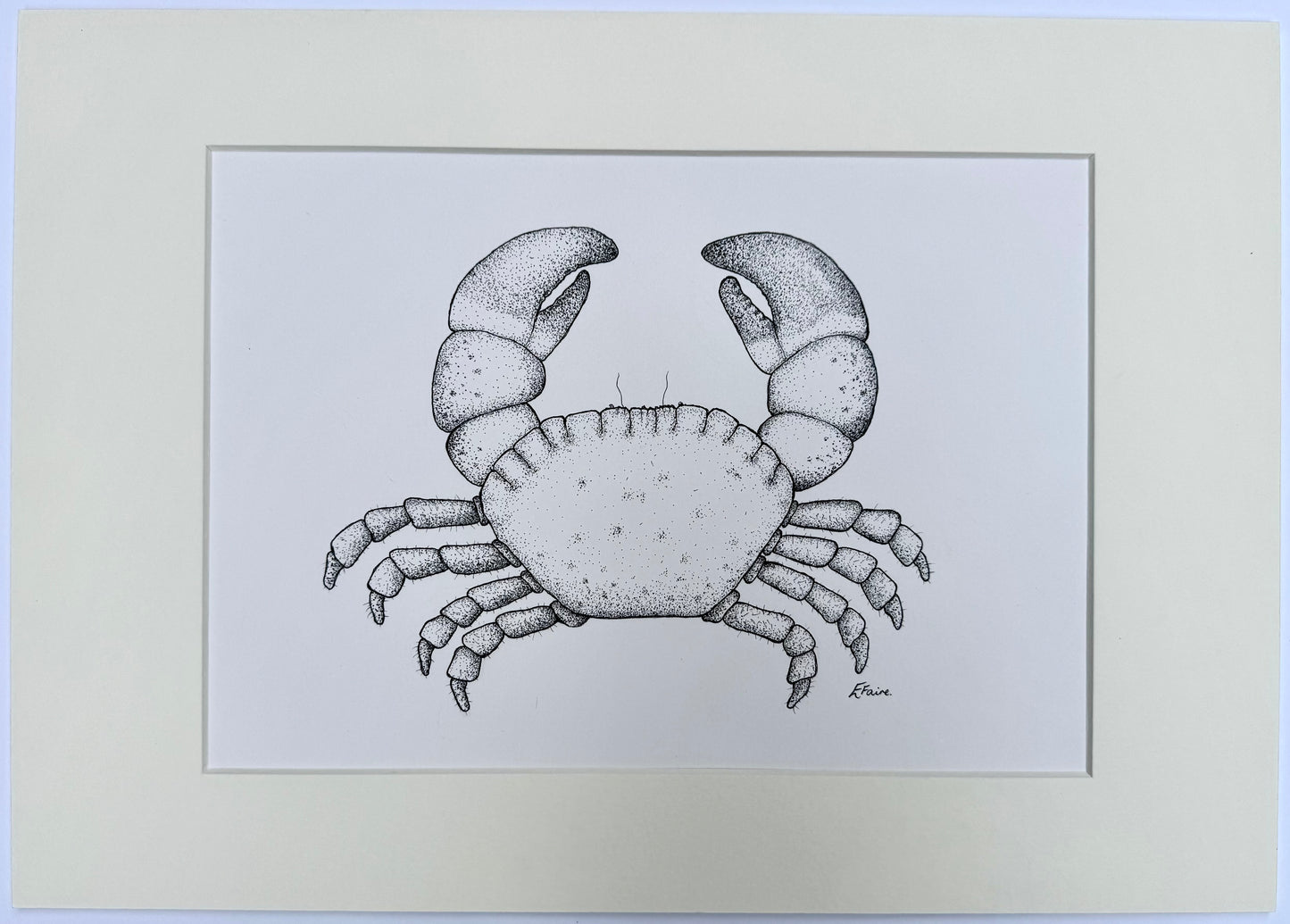 Crab 2 Original Framed