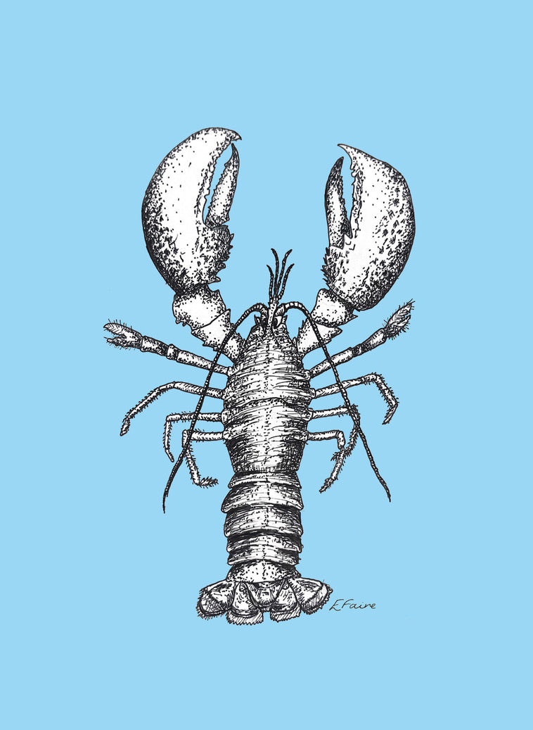 'Larry' Lobster Postcards - Neon
