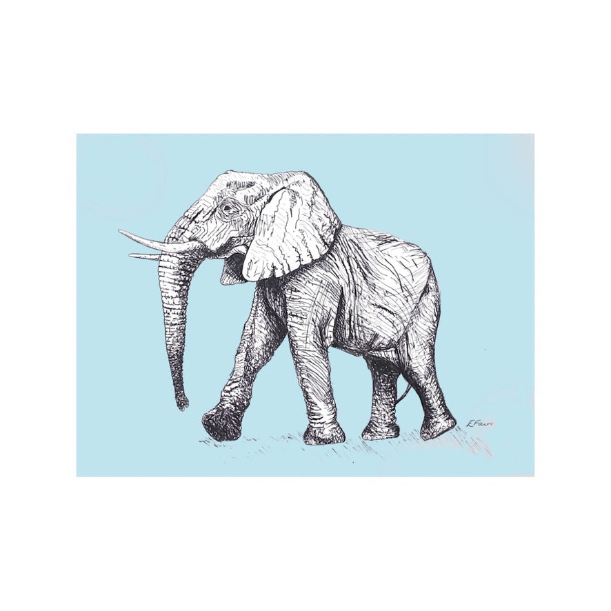 'Edward' Elephant Postcards - Pastel