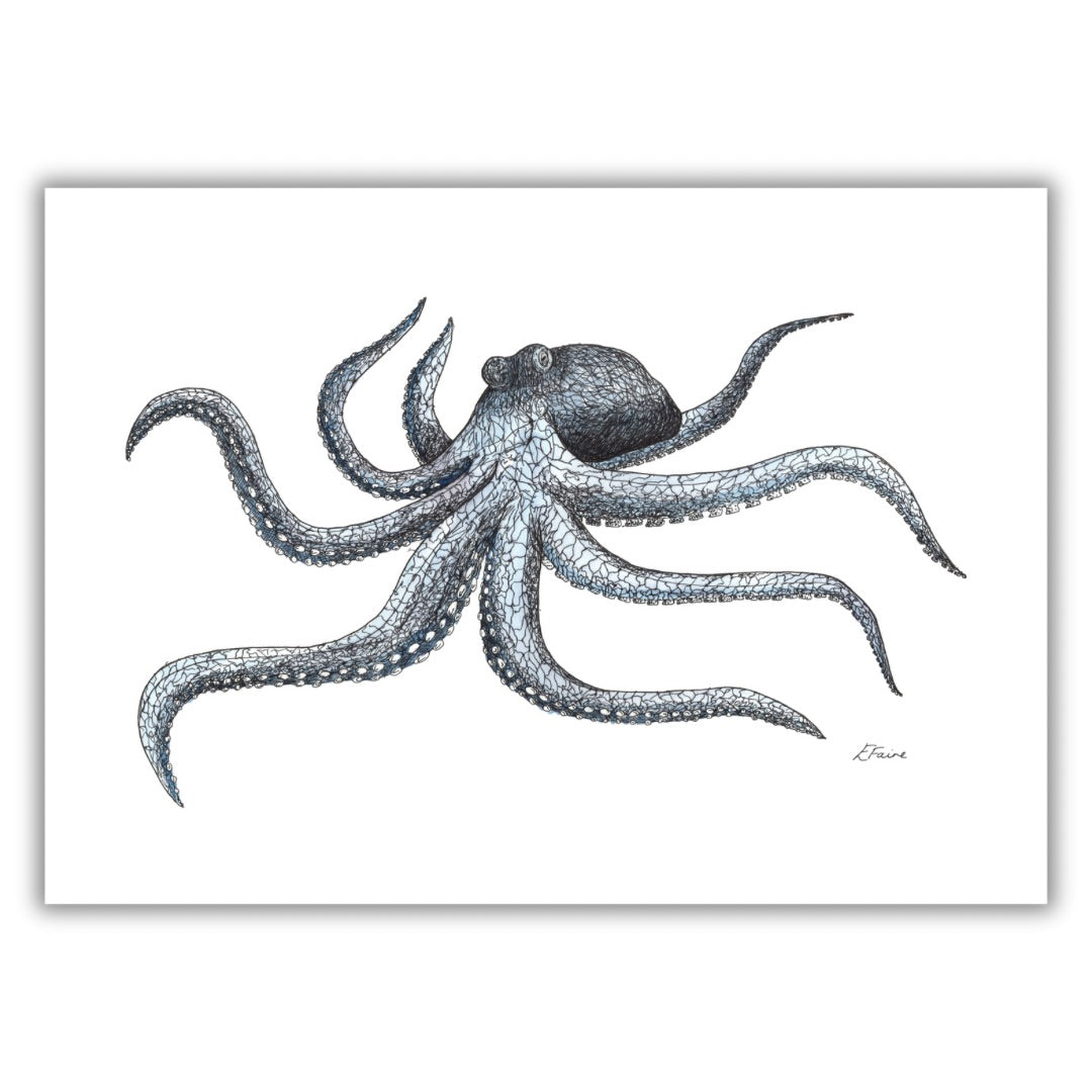 A3 Marine Collection Octopus Print