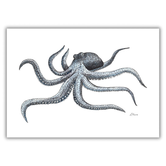 A3 Marine Collection Octopus Print
