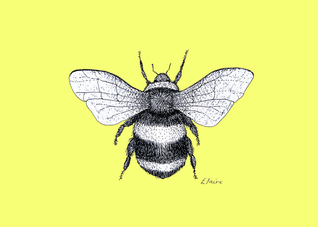 'Belinda' Bumblebee Postcards - Neon