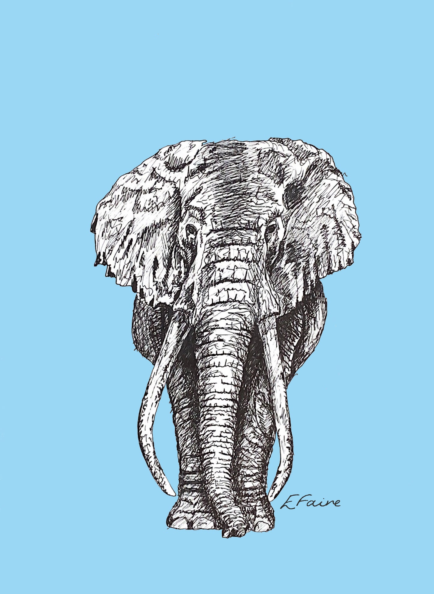 'Ems' Elephant Postcards - Neon