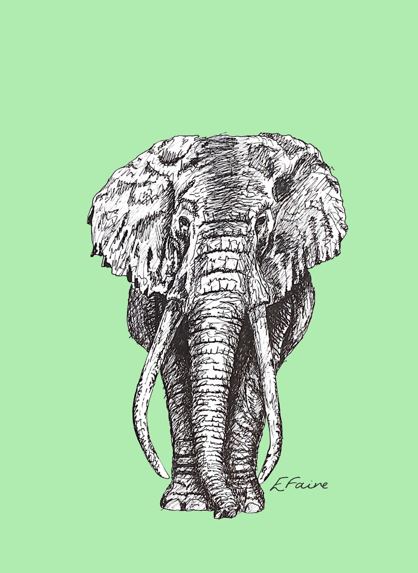 'Ems' Elephant Postcards - Neon