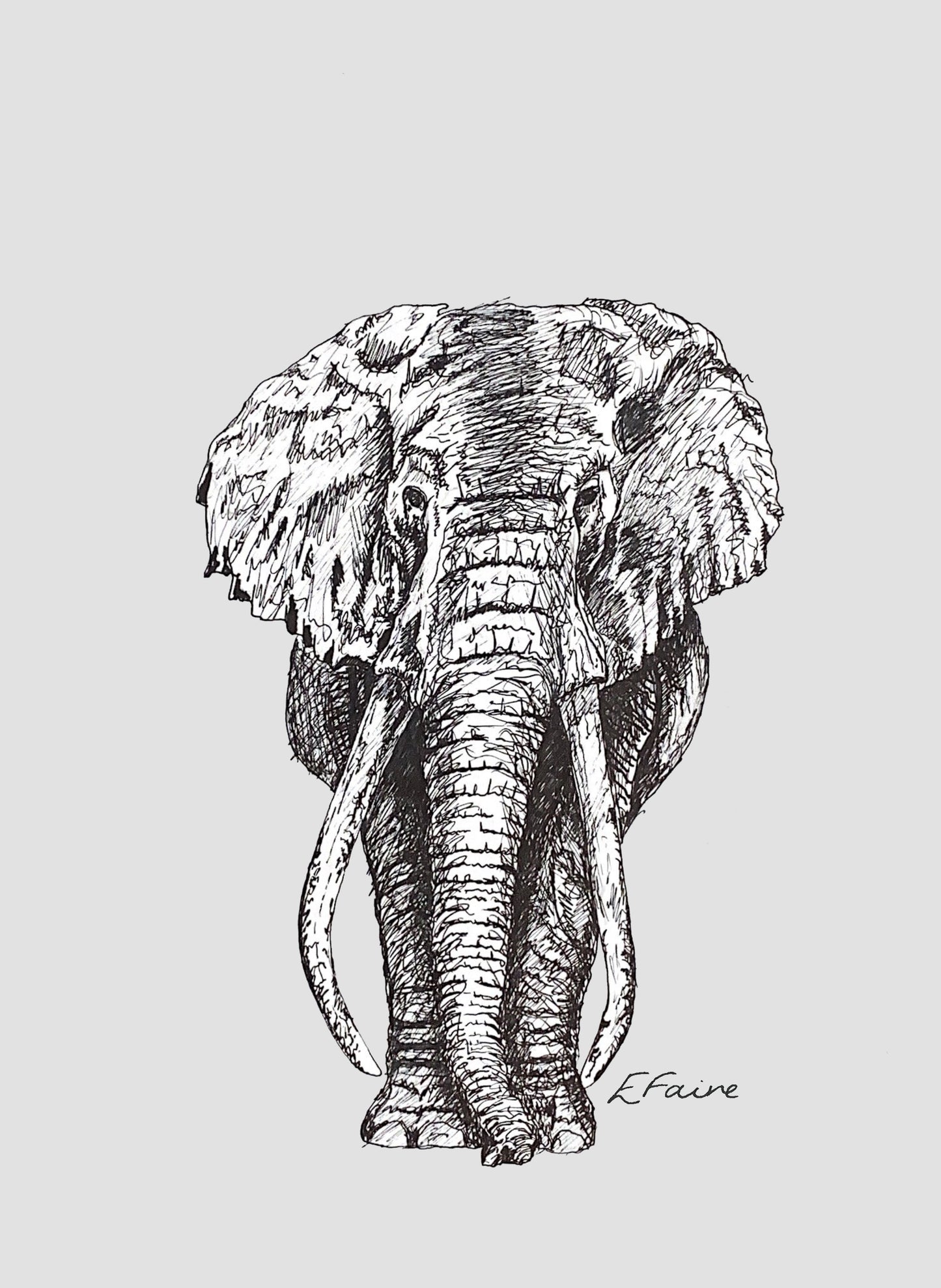 'Ems' Elephant Postcards - Pastel