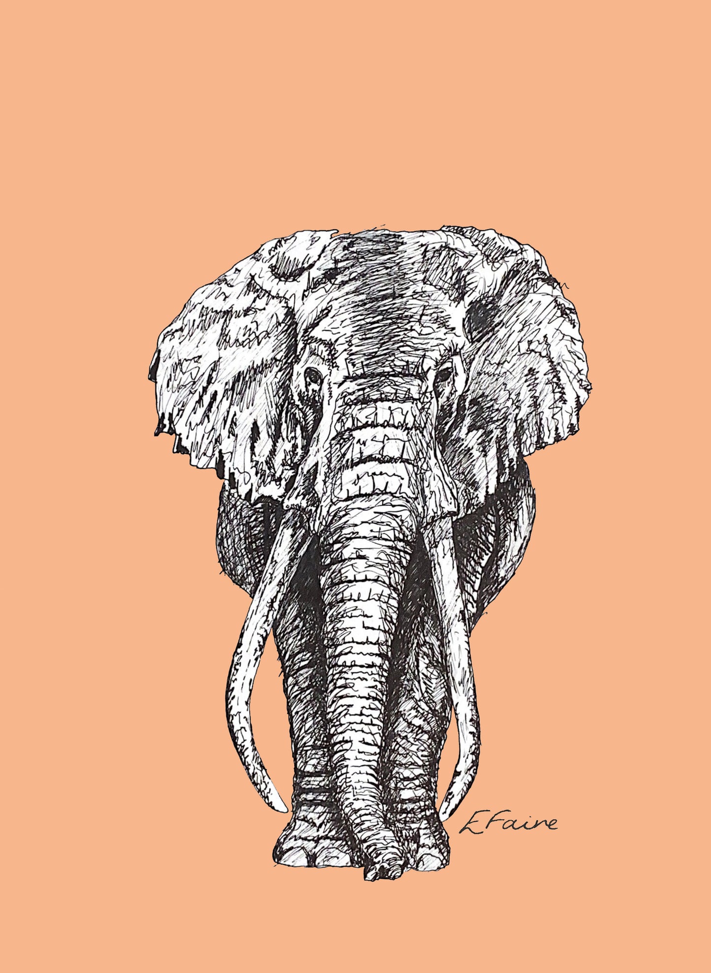 'Ems' Elephant Postcards - Neon
