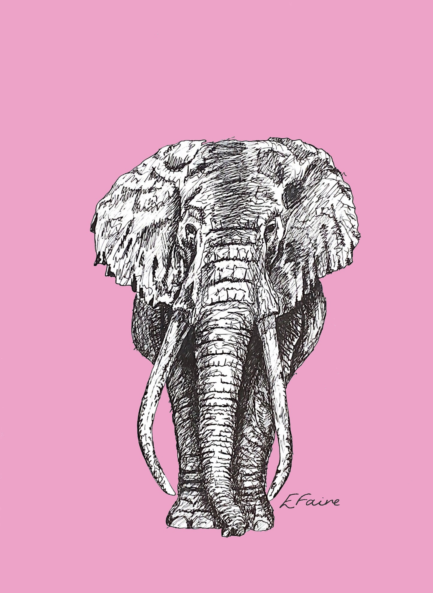'Ems' Elephant Postcards - Neon