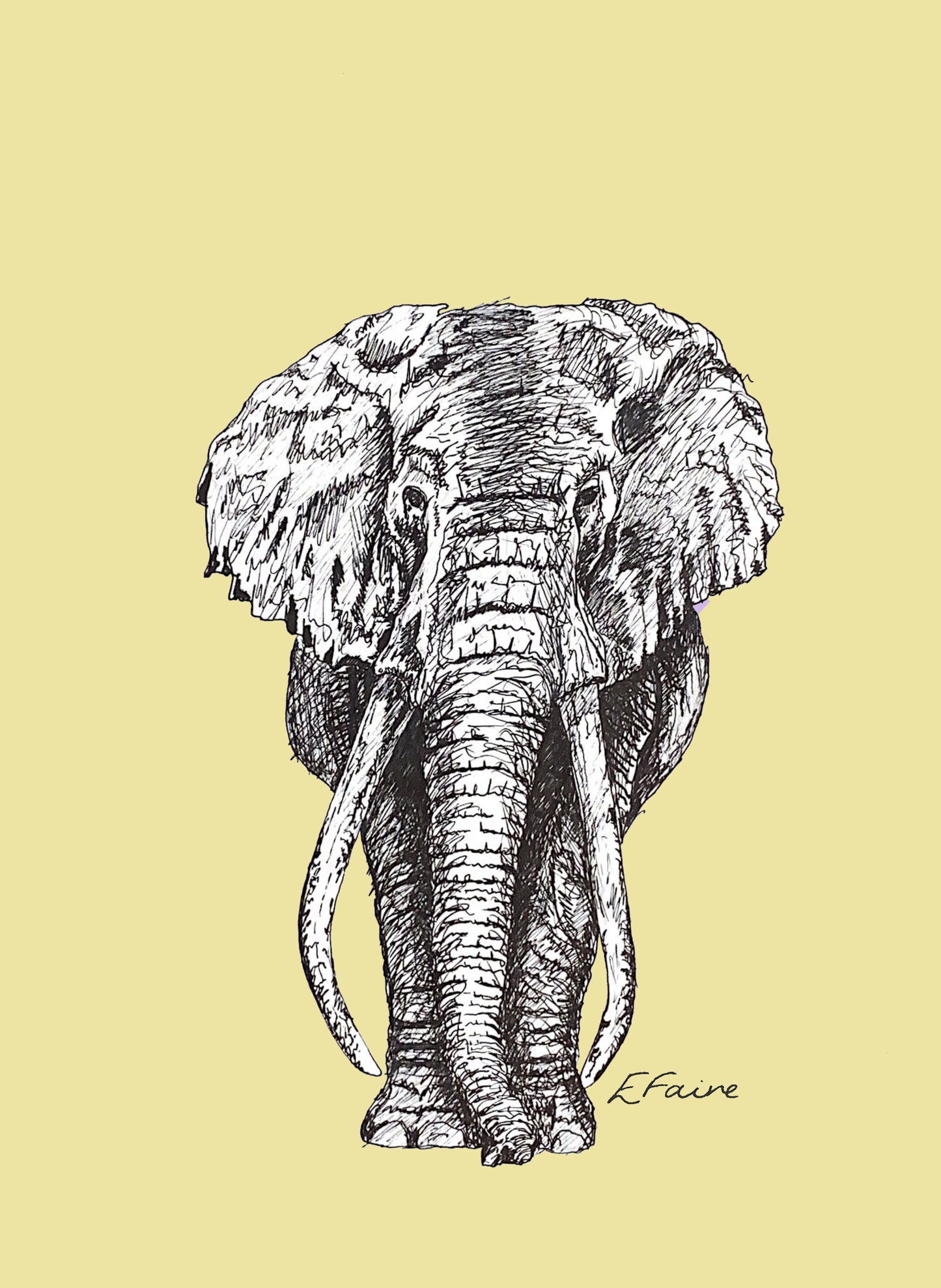'Ems' Elephant Postcards - Neon