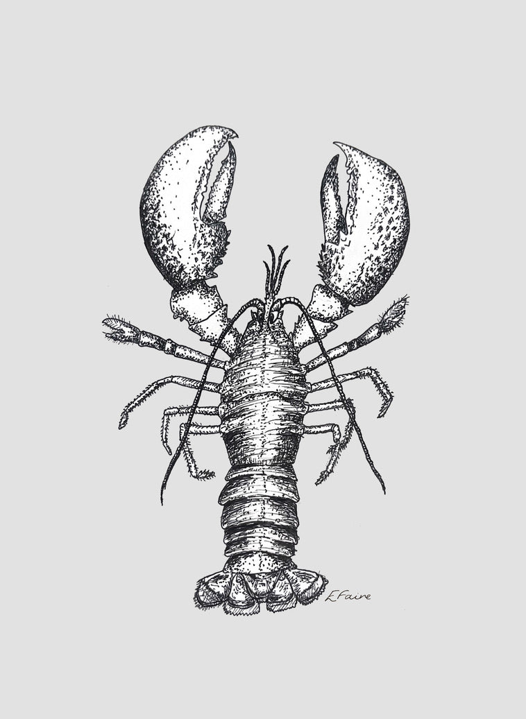 'Larry' Lobster Postcards (A6) - Pastel
