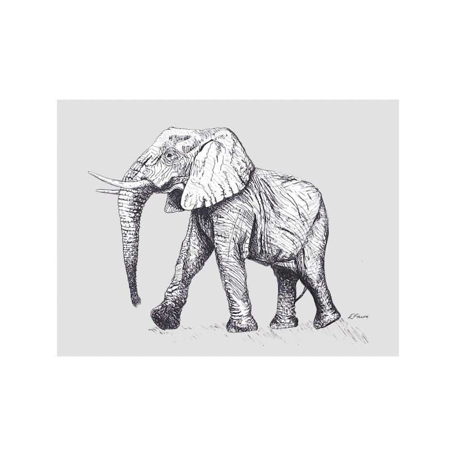 'Edward' Elephant Postcards - Pastel