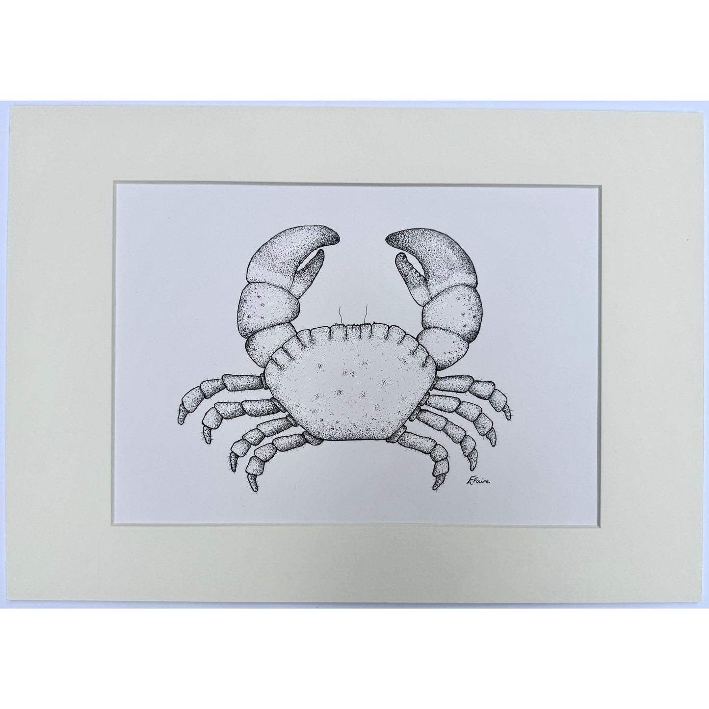 Crab 2 Original Framed