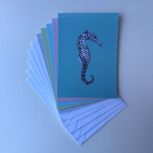'Sebastian' Seahorse Postcards - Pastel