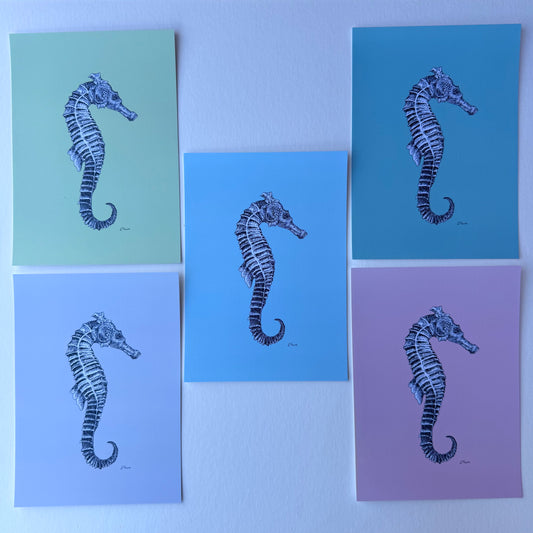 'Sebastian' Seahorse Postcards - Pastel