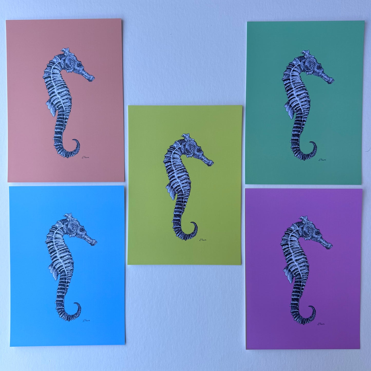 'Sebastian' Seahorse Postcards - Neon
