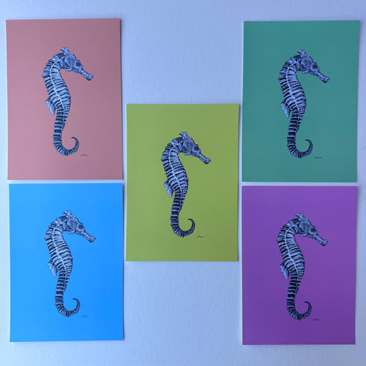 'Sebastian' Seahorse Postcards - Neon