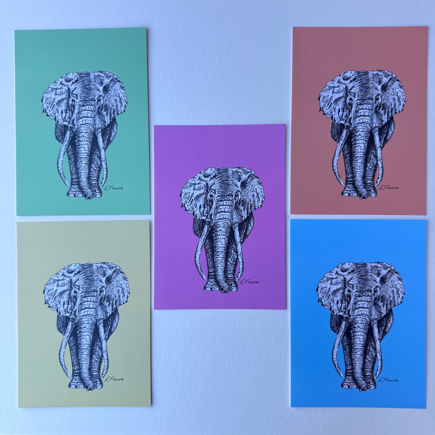 'Ems' Elephant Postcards - Neon