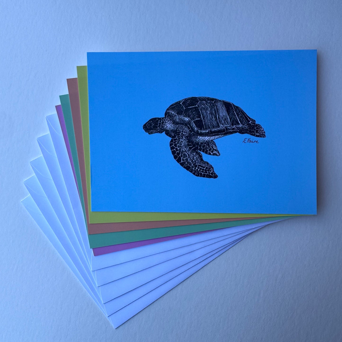 'Terry' Turtle Postcards - Neon