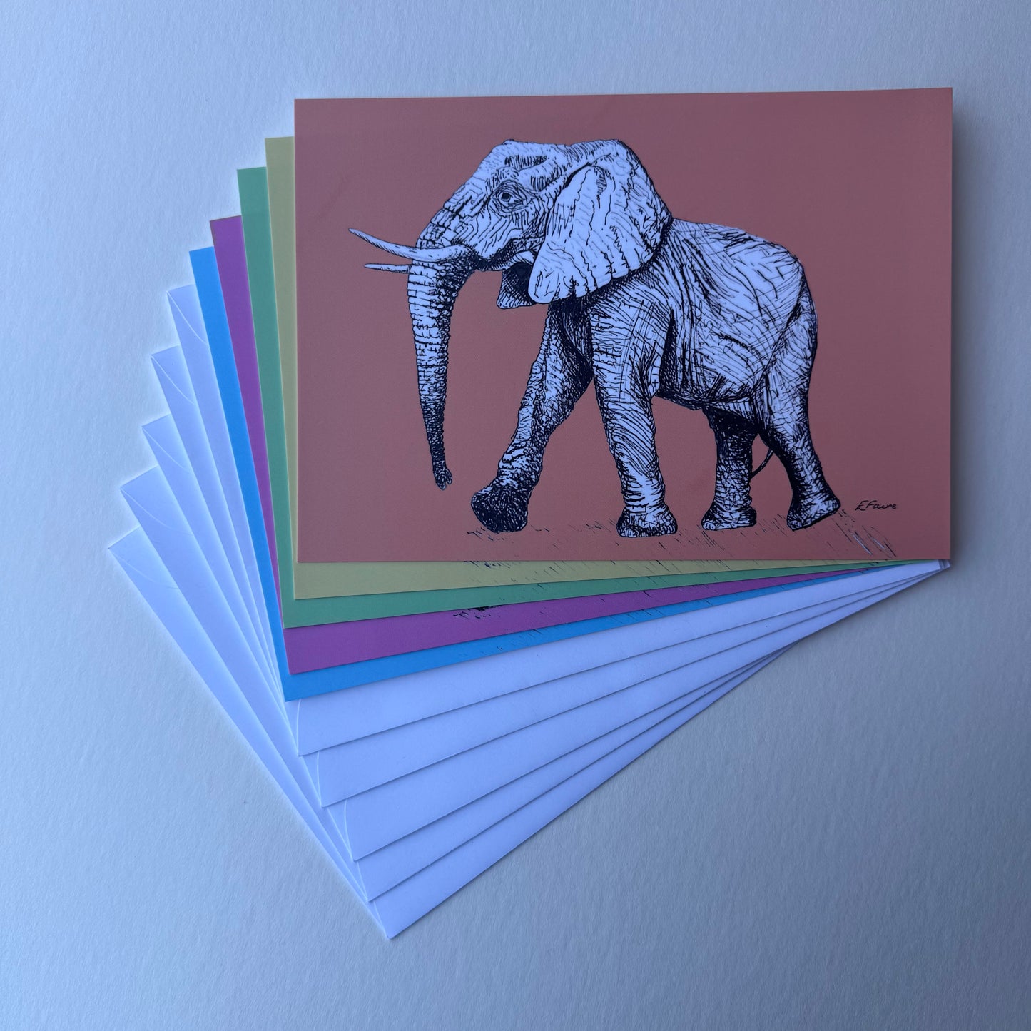 'Edward' Elephant Postcards - Neon