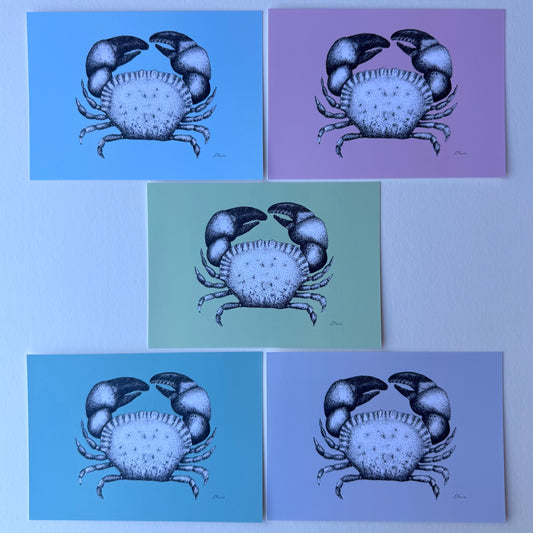 'Kevin' Cromer Crab Postcards - Pastel