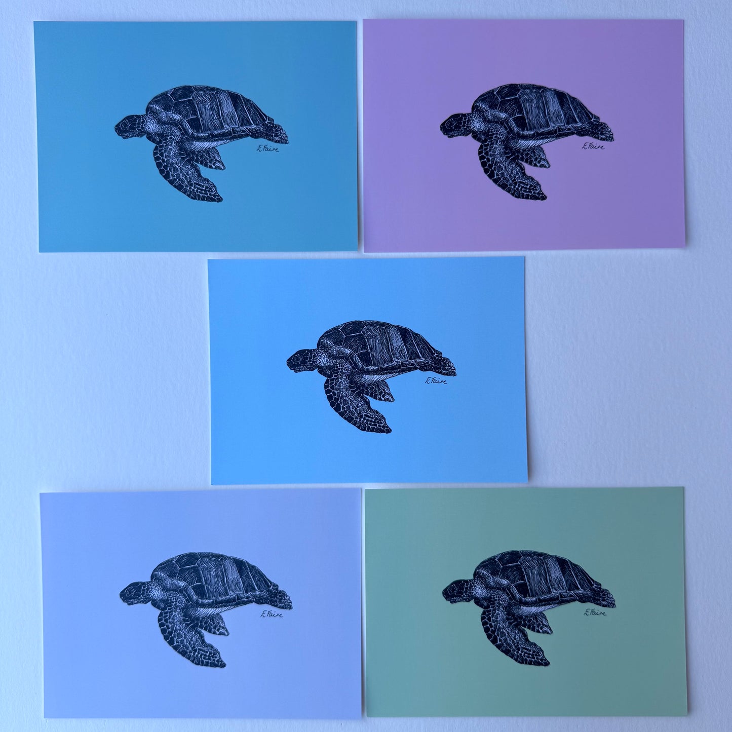 'Terry' Turtle Postcards - Pastel