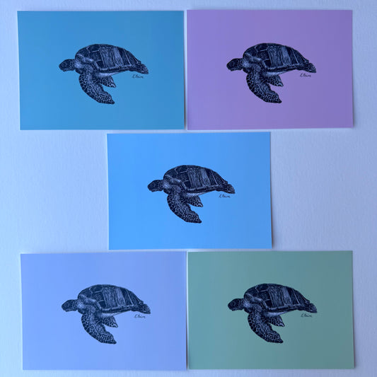 'Terry' Turtle Postcards - Pastel