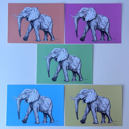 'Edward' Elephant Postcards - Neon
