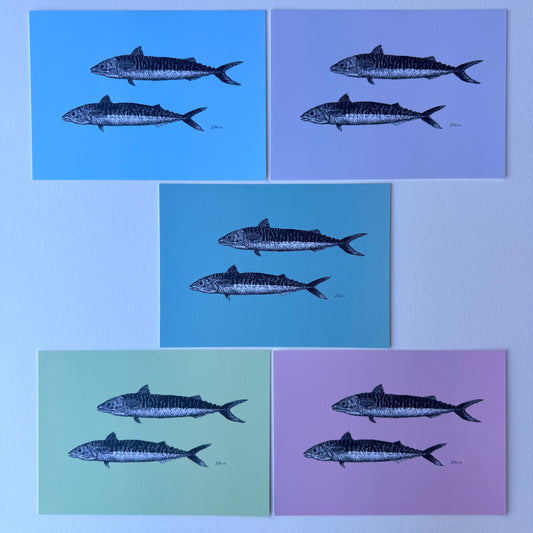 'Mills & Maverick' Mackerel Postcards - Pastel