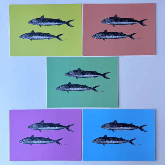 'Mills & Maverick' Mackerel Postcards - Neon