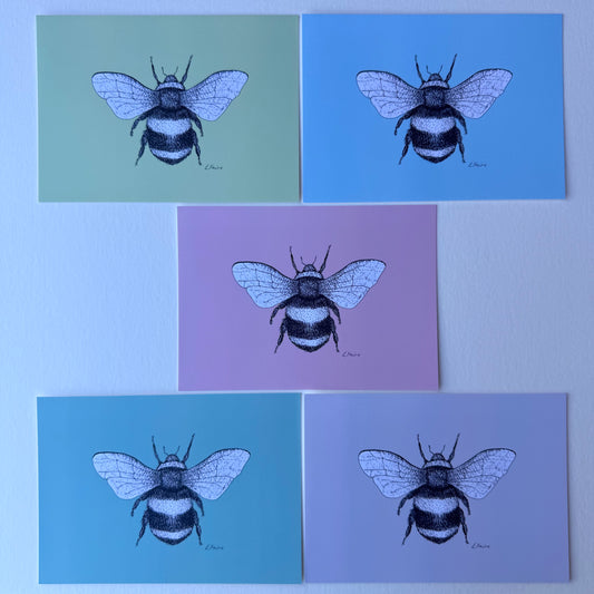 'Belinda' Bumblebee Postcards - Pastel