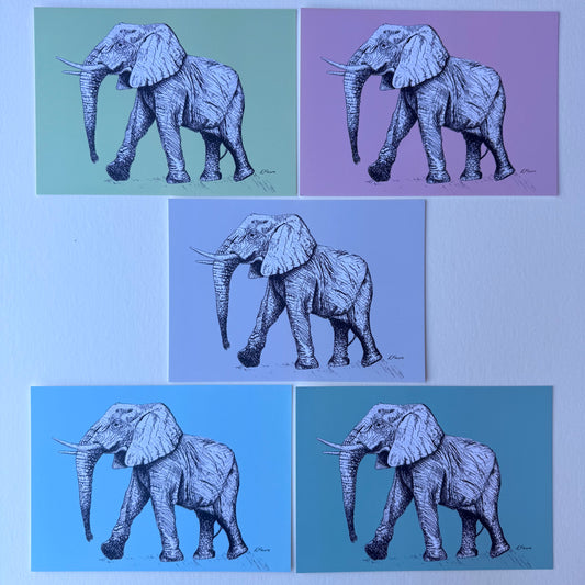 'Edward' Elephant Postcards - Pastel