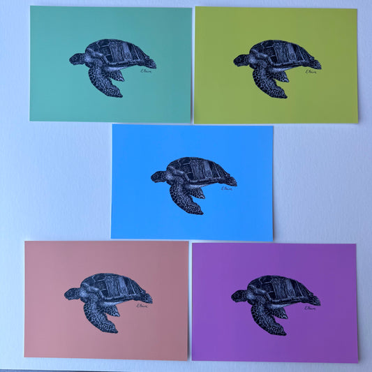 'Terry' Turtle Postcards - Neon