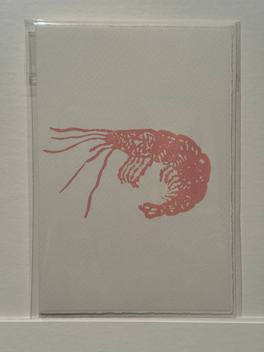 Prawn Lino Print Greetings Card - Pink