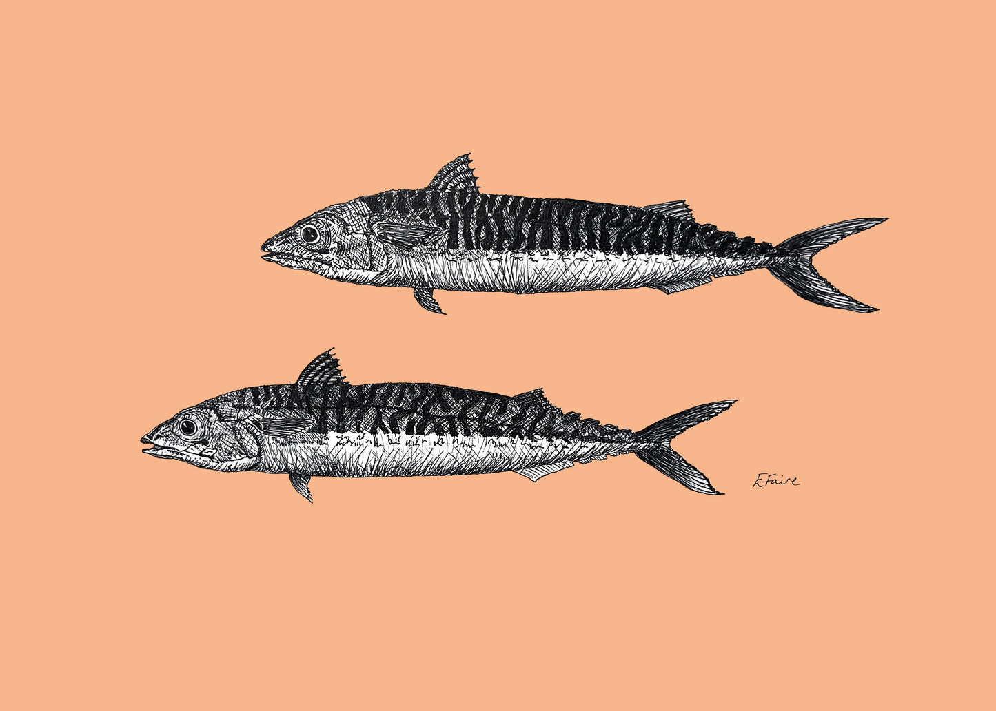 'Mills & Maverick' Mackerel Postcards - Neon