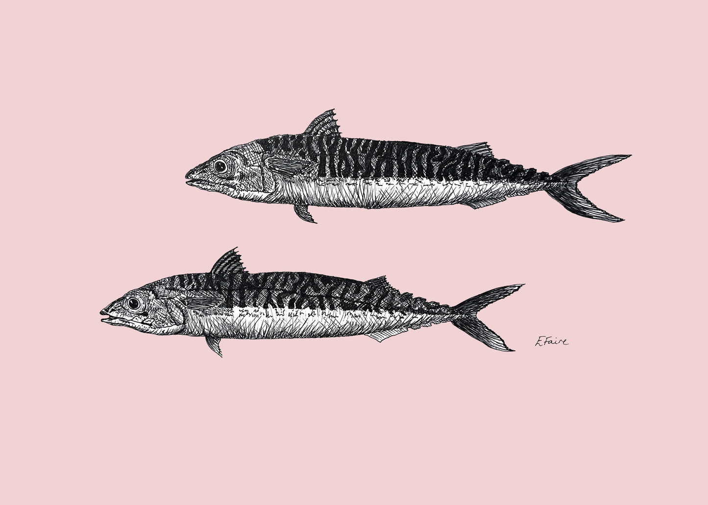 'Mills & Maverick' Mackerel Postcards - Pastel