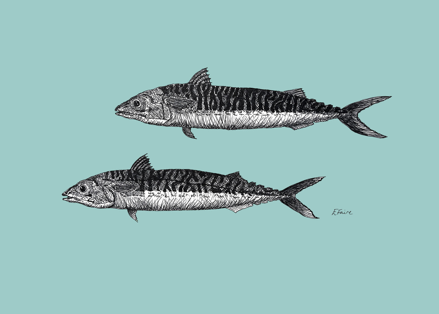 'Mills & Maverick' Mackerel Postcards - Pastel