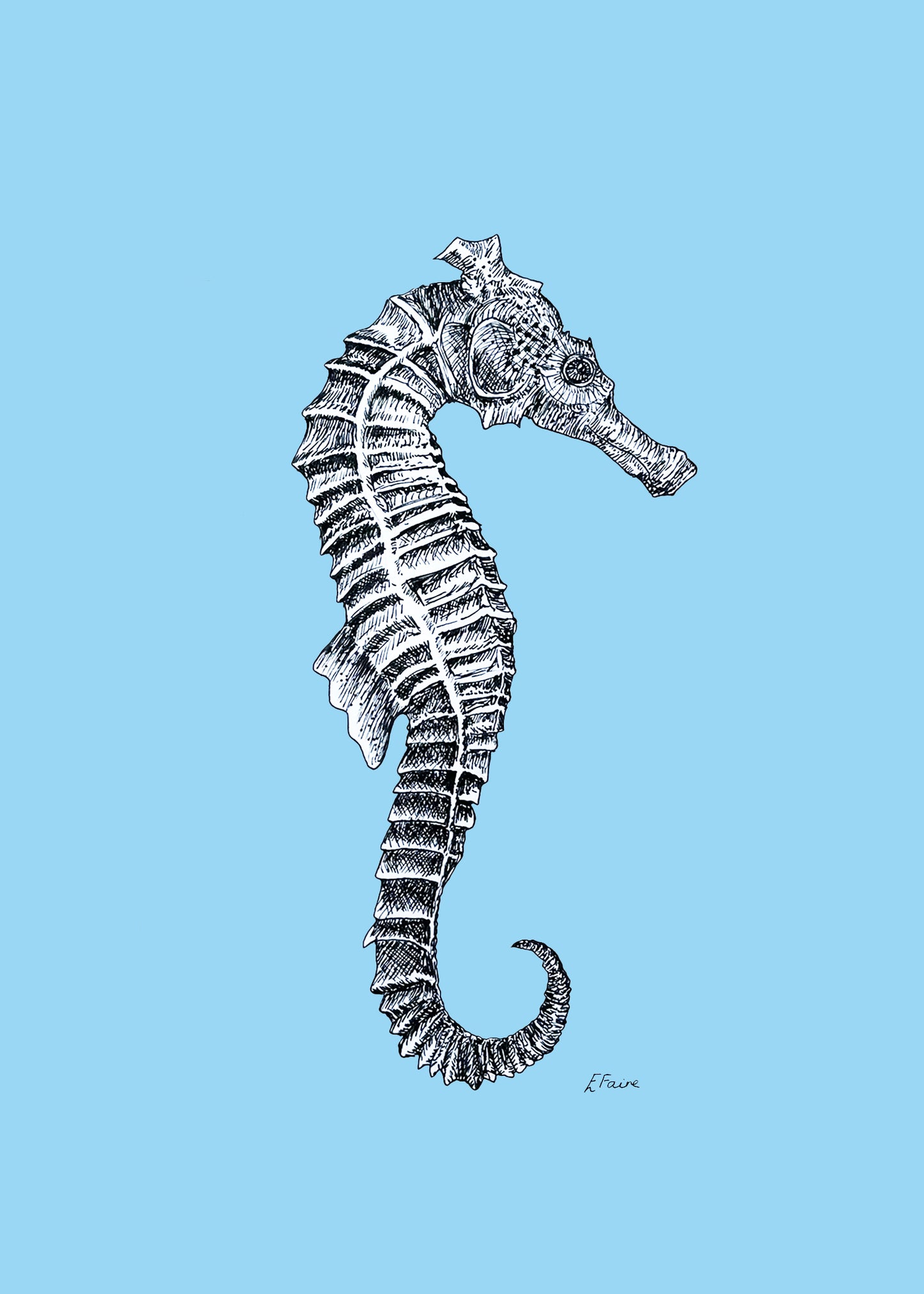 'Sebastian' Seahorse Postcards - Neon