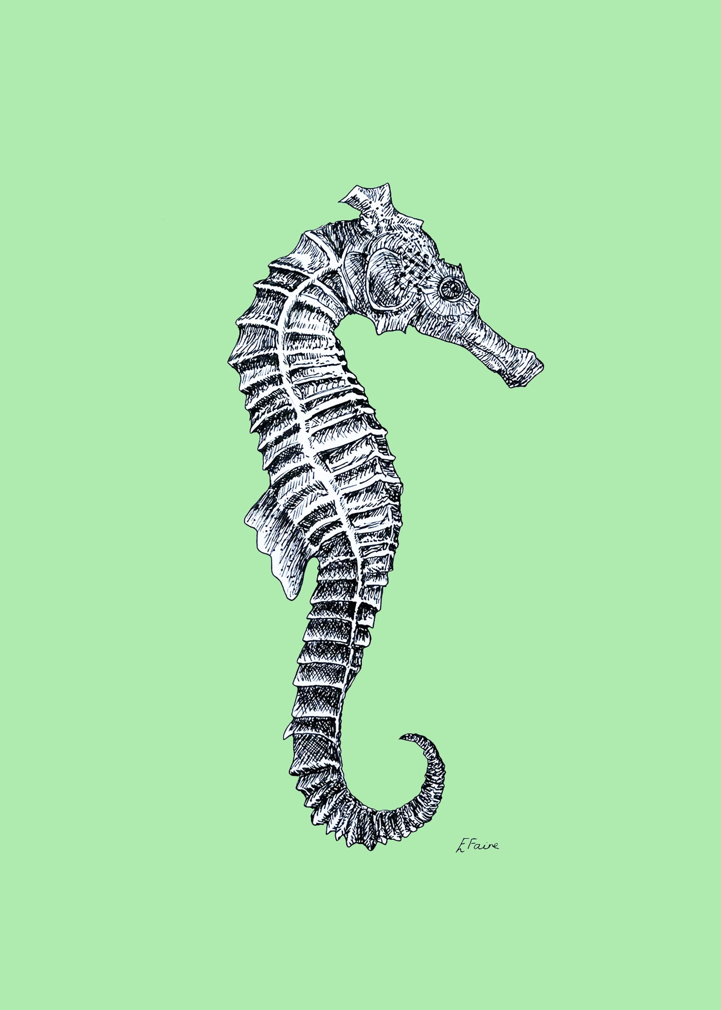 'Sebastian' Seahorse Postcards - Neon