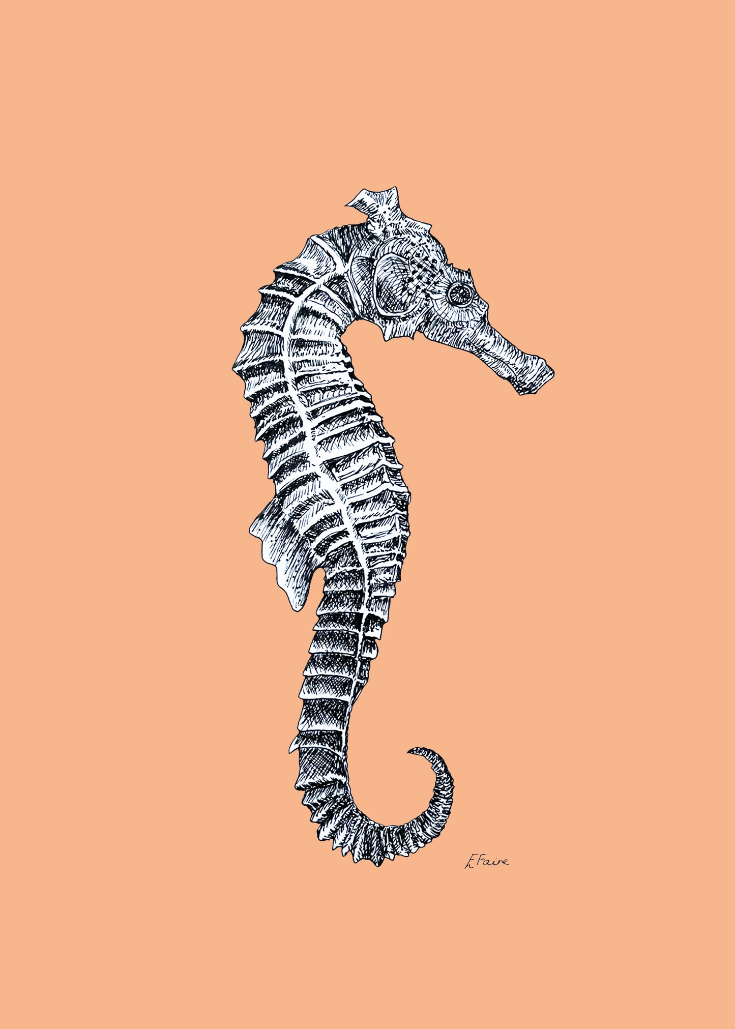'Sebastian' Seahorse Postcards - Neon