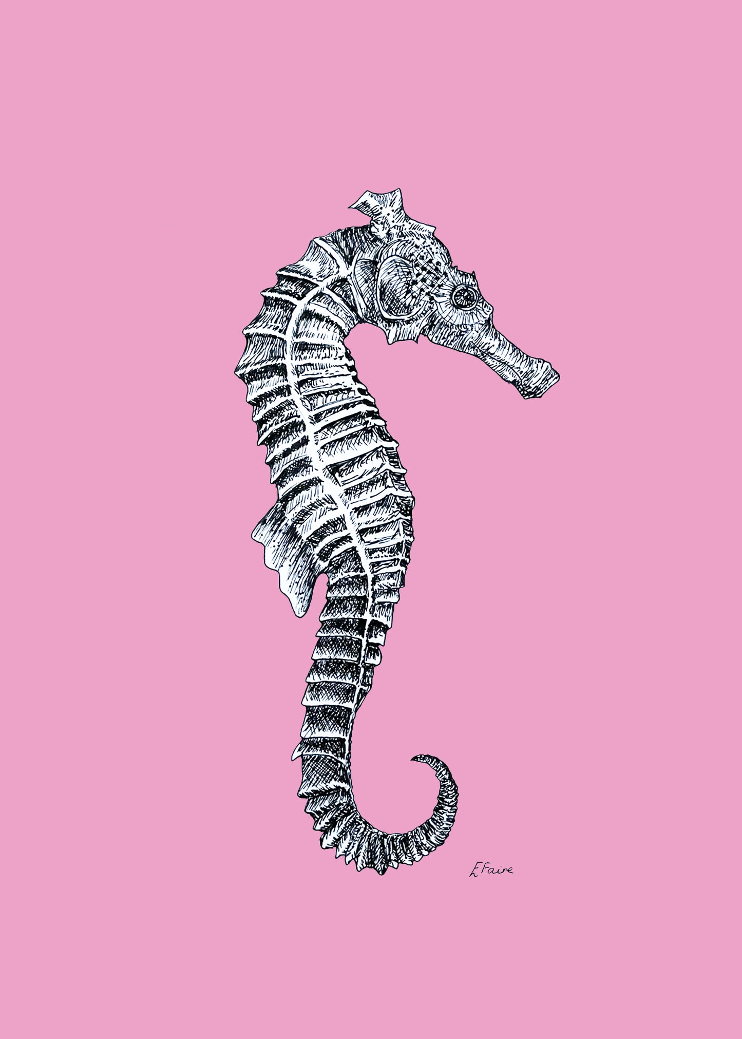 'Sebastian' Seahorse Postcards - Neon