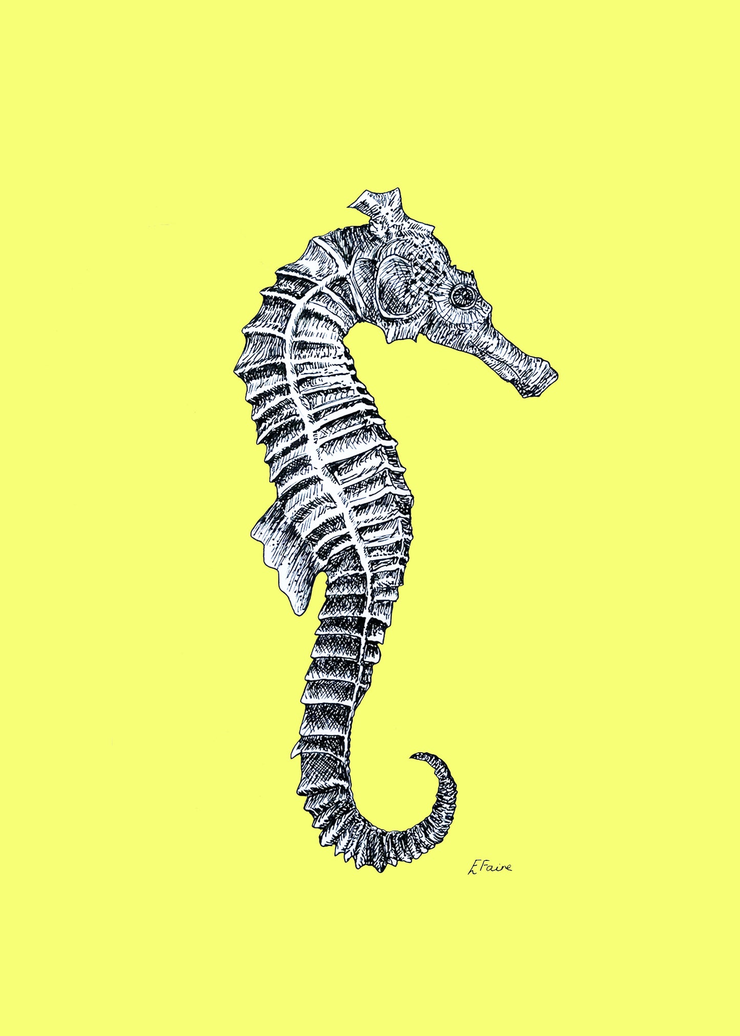 'Sebastian' Seahorse Postcards - Neon