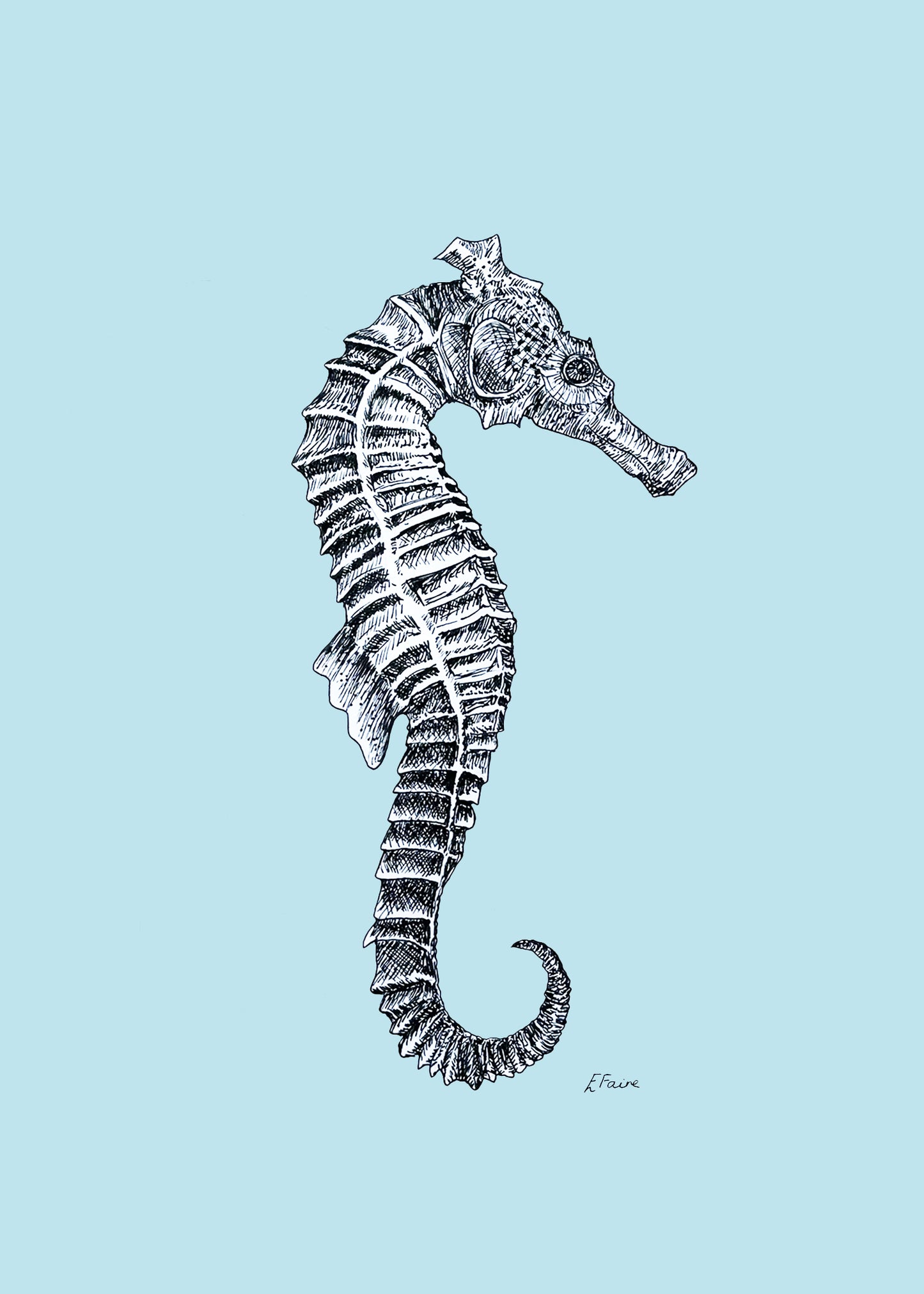 'Sebastian' Seahorse Postcards - Pastel