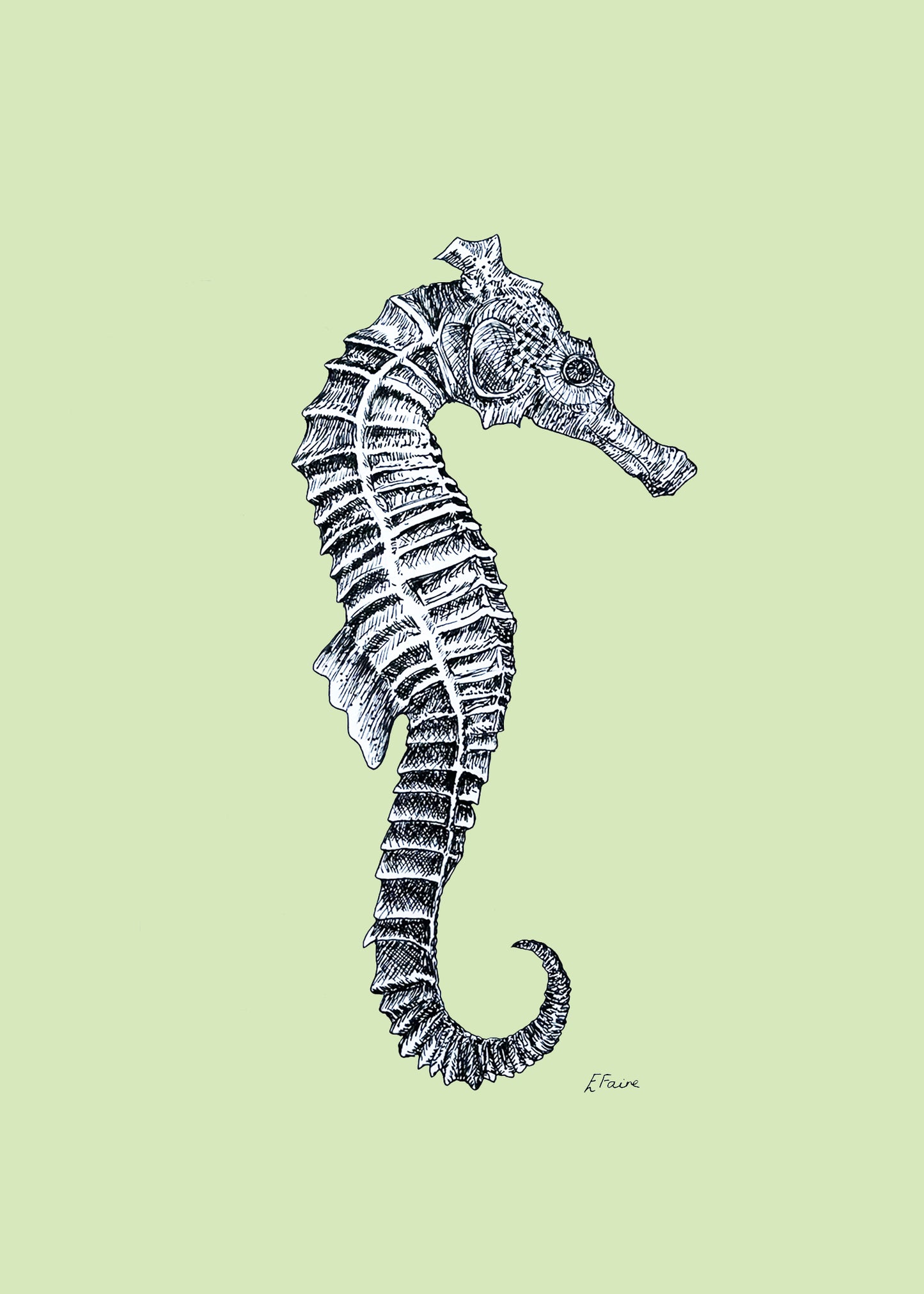 'Sebastian' Seahorse Postcards - Pastel