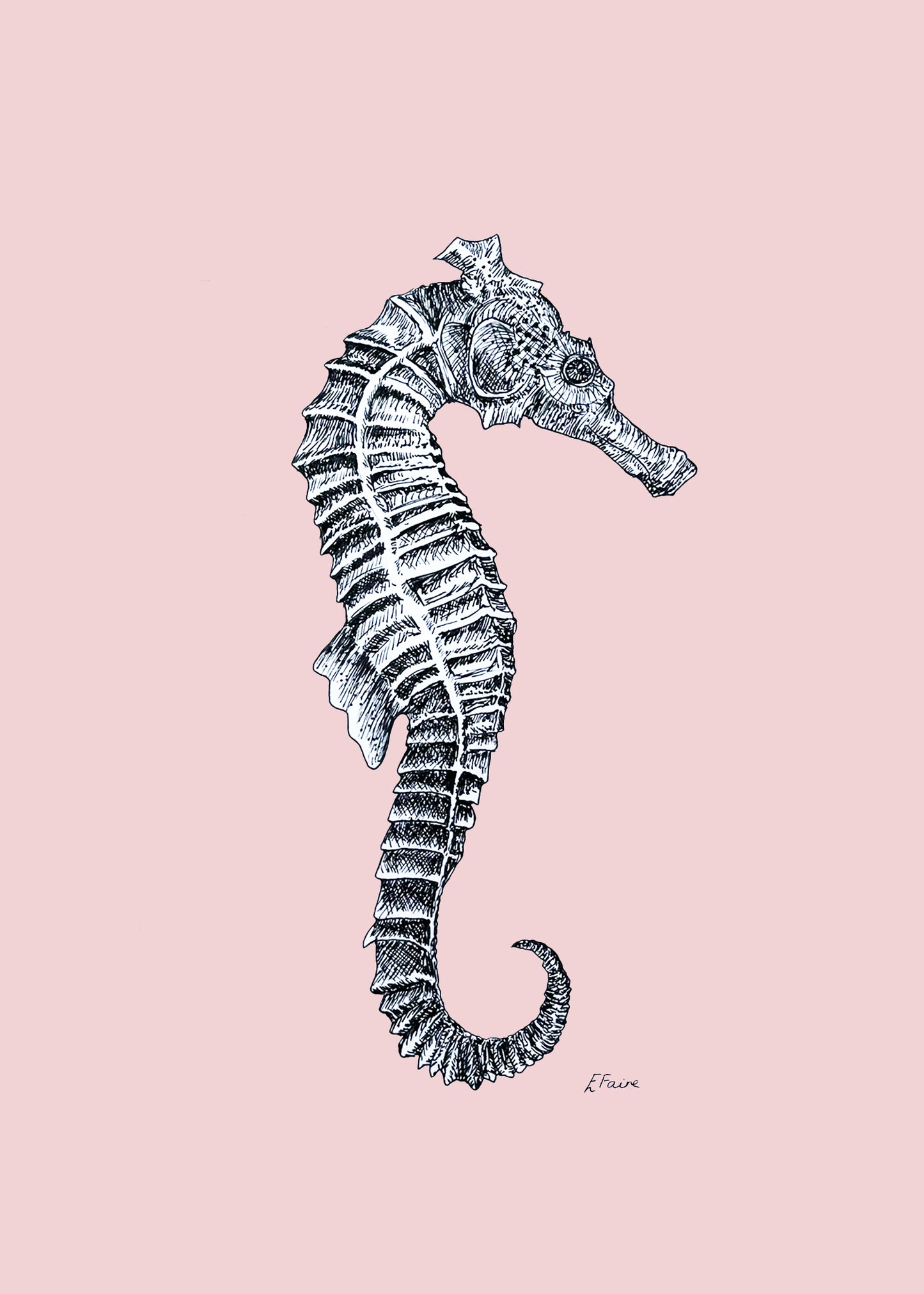 'Sebastian' Seahorse Postcards - Pastel